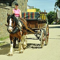 Woman with horse carriage