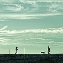 Couple with dog in the evening on the quay