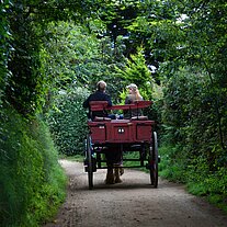 romantic horse-drawn carriage on a narrow path