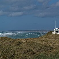 Küste im Wind Küste im Wind