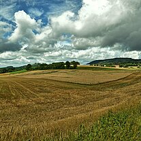 Blick zur Waldecker Burg mit unserem Hof Blick zur Waldecker Burg mit unserem Hof