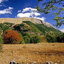 Mte. Marcicano 2245m