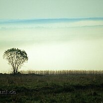Blick ins Land mit Baum Blick ins Land mit Baum