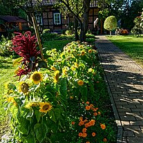 Garten in Lehde Garten in Lehde
