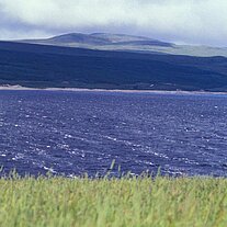 Loch Shin Loch Shin