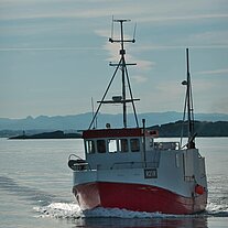 Schiff läuft ein Schiff läuft ein