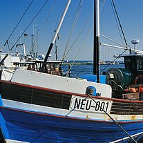 Boote in Neuendorf Boote in Neuendorf