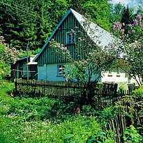Holzhaus mit Garten