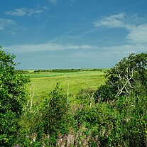 Dünenlandschaft Kobbeduinen Dünenlandschaft Kobbeduinen
