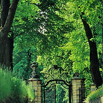 Allee zum Schloss Allee zum Schloss