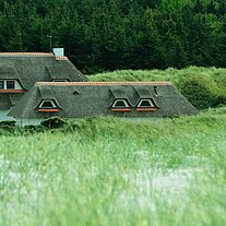 Reethäuser in den Dünen Reethäuser in den Dünen