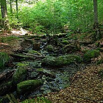 Mittelsteigbach Mittelsteigbach