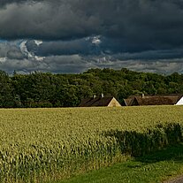 Landschaft mit Hof bei Olsker Landschaft mit Hof bei Olsker