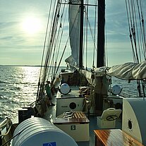 wieder auf der Zephyr nach Stralsund wieder auf der Zephyr nach Stralsund