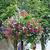 Blumenstrauß an Laternenmast Blumenstrauß an Laternenmast