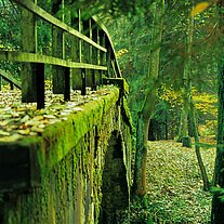Brücke über die Kamnitz Brücke über die Kamnitz