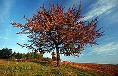 Annaberg bei Neurode
