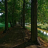 Radweg Allee