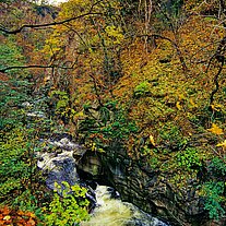 im Bodetal im Bodetal