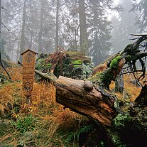 Marterl im Wald Marterl im Wald