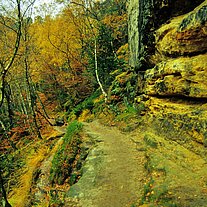 Gabrielensteig durch Herbstwald