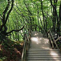 Treppe ans Meer Treppe ans Meer