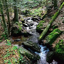 Großer Steinbach Großer Steinbach