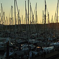 im Yachthafen von Vlieland im Yachthafen von Vlieland