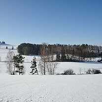 Der Kusch bei Atzmannsberg Der Kusch bei Atzmannsberg