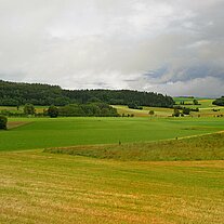 Blick zum Buch Blick zum Buch