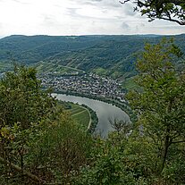 Blick vom Calmont auf die Mosel