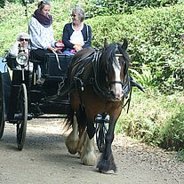 Pferdekutsche mit der Queen Pferdekutsche mit der Queen