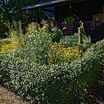 Bauerngarten Bauerngarten