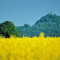 Rauher Kulm Rauher Kulm