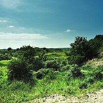 Dünenlandschaft Kobbeduinen Dünenlandschaft Kobbeduinen
