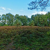 Heide am Aller Fernradweg Heide am Aller Fernradweg