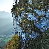 Die Ruine Falkenstein Die Ruine Falkenstein