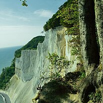 Die Kippen von Møn (Møns Klint) Die Kippen von Møn (Møns Klint)