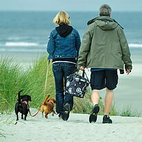 Paar mit 2 Dackeln geht zum Strand Paar mit 2 Dackeln geht zum Strand