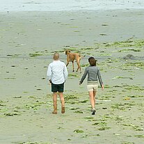 zwei Spaziergänger mit Hund am Strand