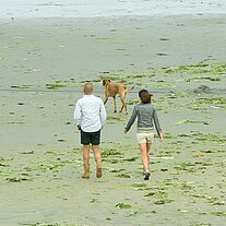 zwei Spaziergänger mit Hund am Strand zwei Spaziergänger mit Hund am Strand