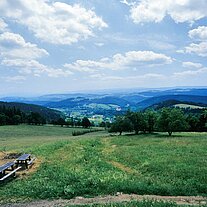 Blick von der Bismarckbaude nach Falkenberg