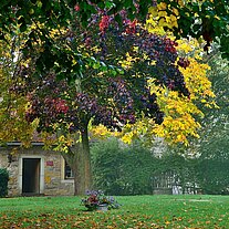 im Burghof der Creuzburg im Burghof der Creuzburg