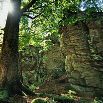der Räuberfelsen im Gegenlicht der Räuberfelsen im Gegenlicht