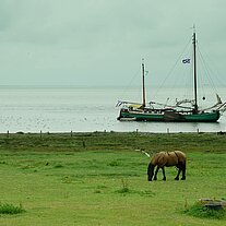 Pferd und Schiff Idyll am Wattenmeer