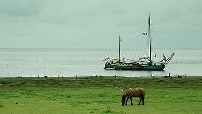 Horse and Ship Idyll on the Wadden Sea Horse and Ship Idyll on the Wadden Sea