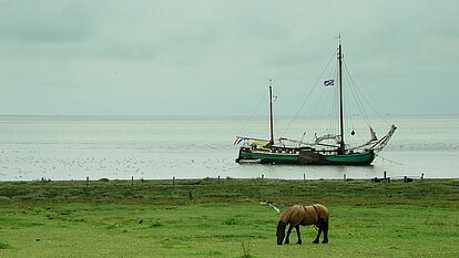 Pferd und Schiff Idyll am Wattenmeer