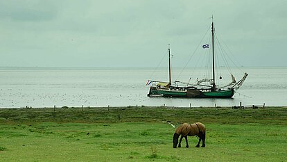 Pferd und Schiff Idyll am Wattenmeer Pferd und Schiff Idyll am Wattenmeer