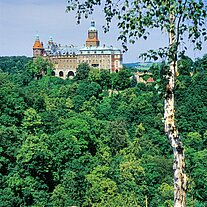 Schloss Fürstenstein Schloss Fürstenstein
