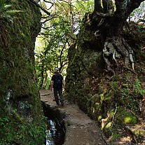 Levada zwischen durch Levada zwischen durch